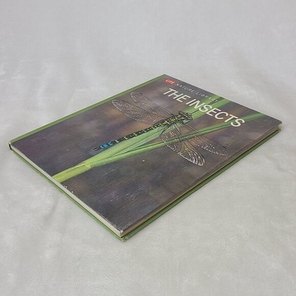 The Insects By Peter Farb Life Nature Library Hardcover 1967 - Picture 12 of 13